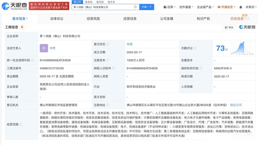 千万元注册资本加持下的人工智能基础软件开发 机遇、挑战与合规路径
